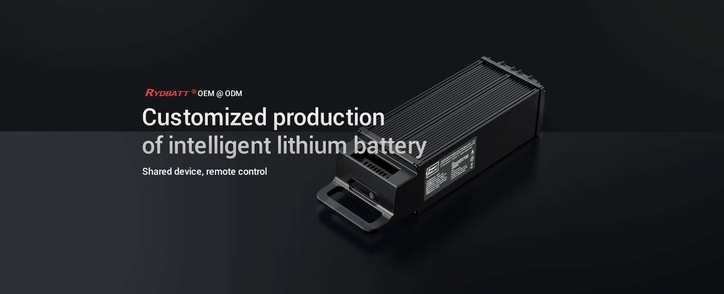 quality Electric Bicycle Battery Pack factory