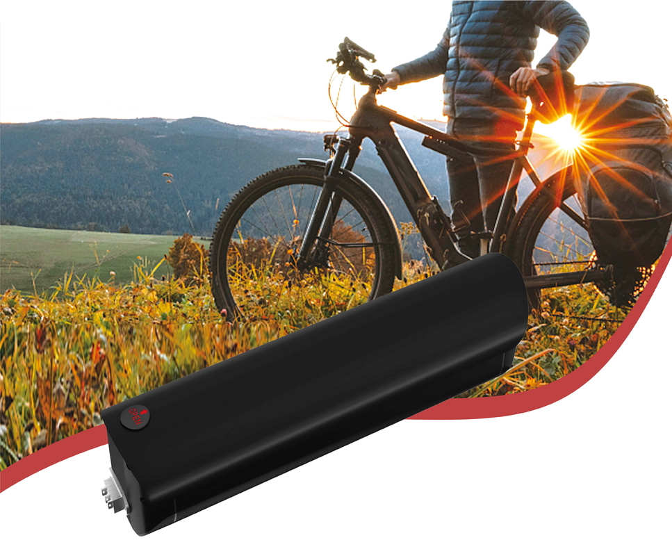 13S3P-48V9.6Ah Electric Bicycle Battery Pack