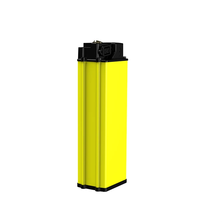 Electric Scooter Lithium Battery Pack